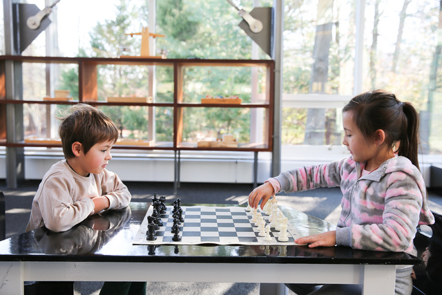 Using Chess Strategy & Tactics in Student Affairs